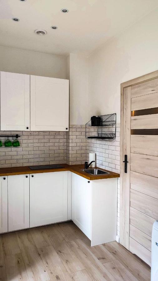 Apartament Polaniczanka 폴라니카-즈루이 외부 사진
